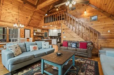 162 Little Falls Drive Mineral Bluff, GA 30559