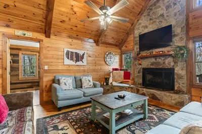 162 Little Falls Drive Mineral Bluff, GA 30559