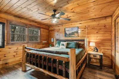 162 Little Falls Drive Mineral Bluff, GA 30559