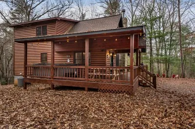 162 Little Falls Drive Mineral Bluff, GA 30559