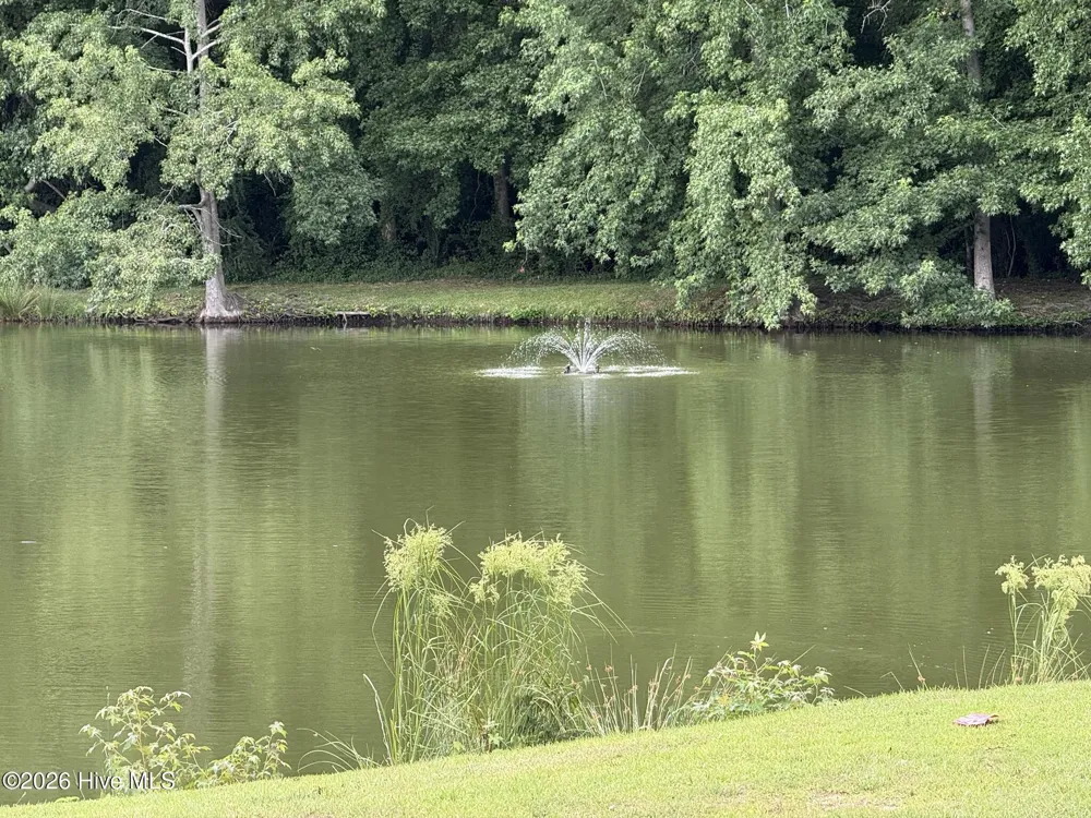 605 Spring Forest Road #E Greenville, NC 27834