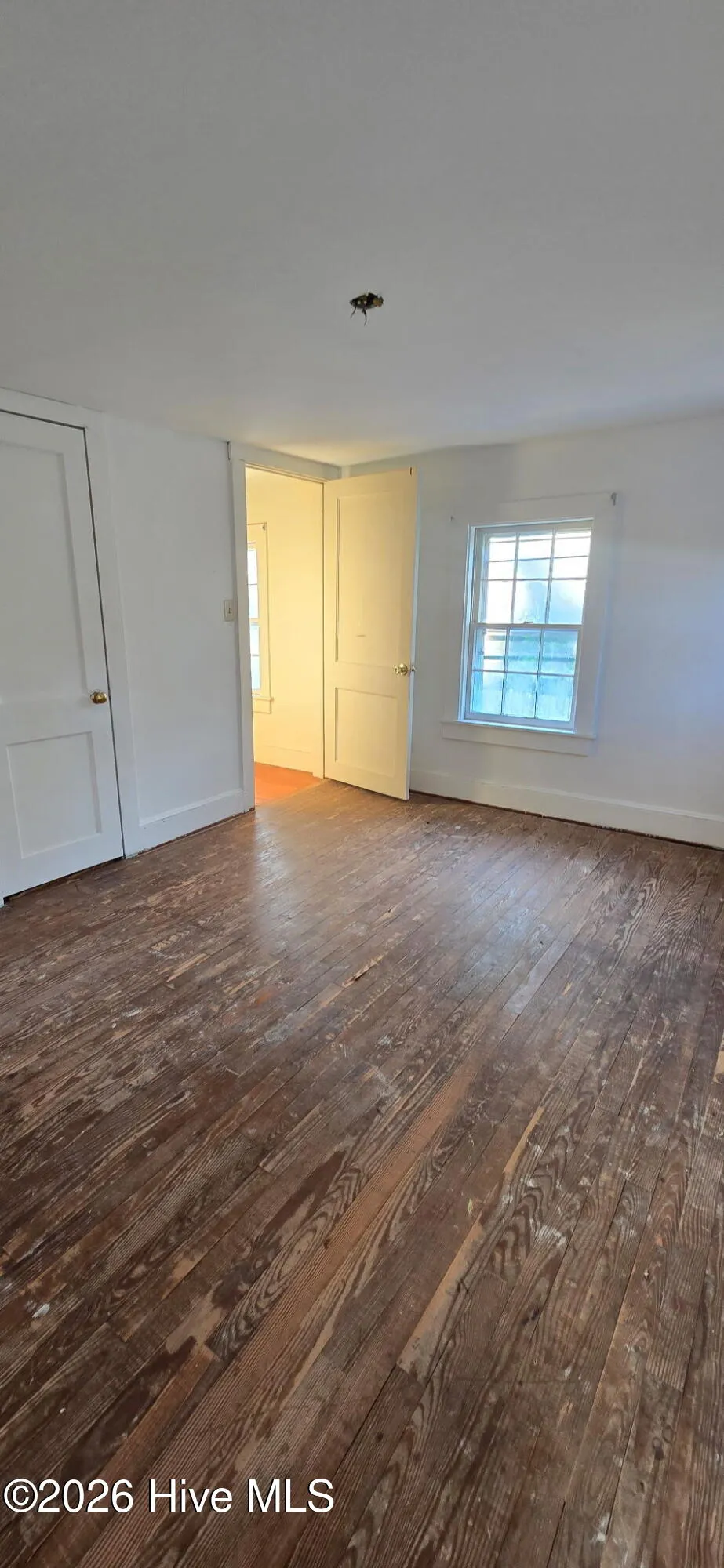 436 Edward Street Belhaven, NC 27810