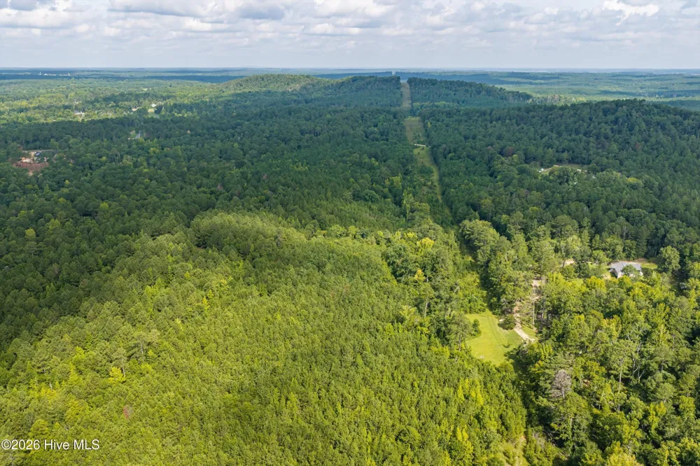 0 Burks Mountain Road Appling, GA 30802