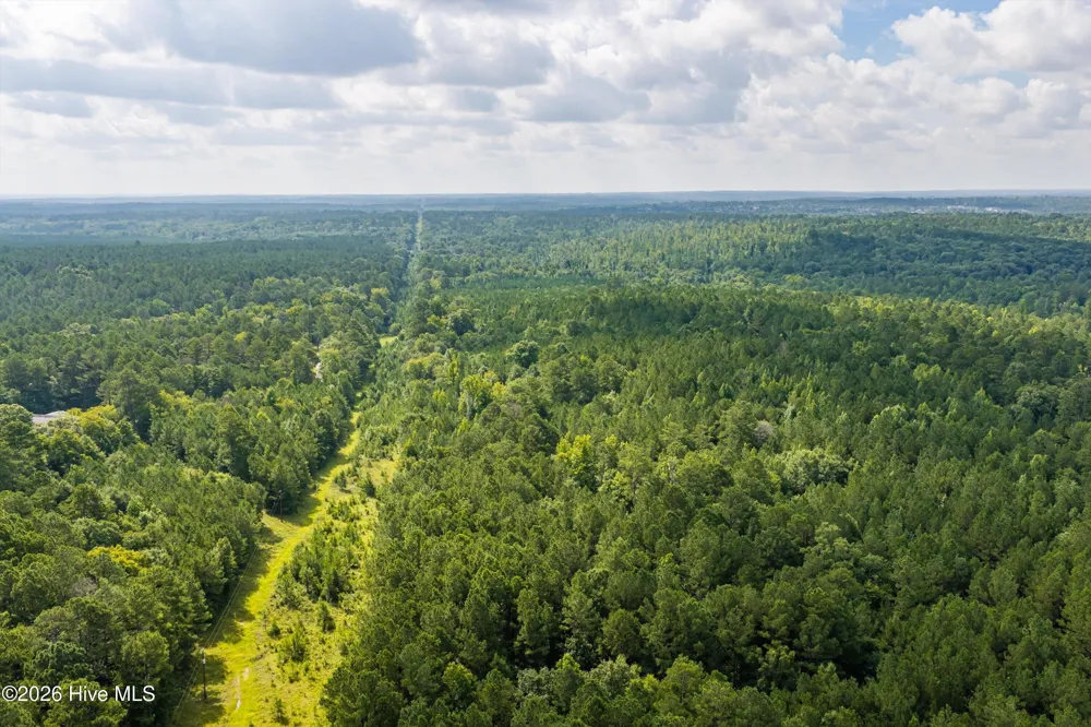 0 Burks Mountain Road Appling, GA 30802