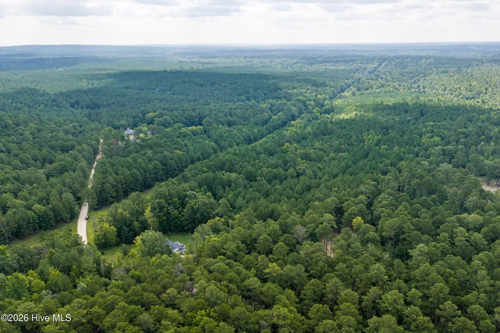 0 Burks Mountain Road Appling, GA 30802