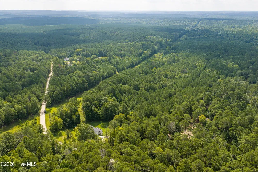 0 Burks Mountain Road Appling, GA 30802