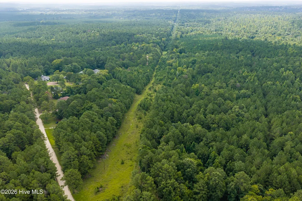 0 Burks Mountain Road Appling, GA 30802