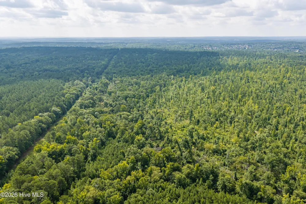 0 Burks Mountain Road Appling, GA 30802