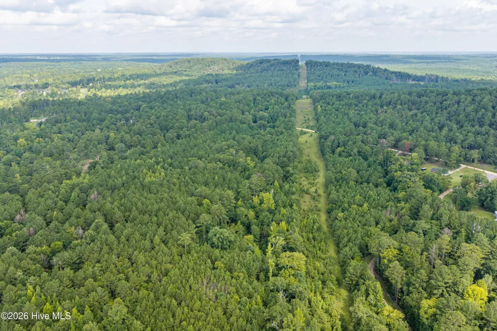 0 Burks Mountain Road Appling, GA 30802