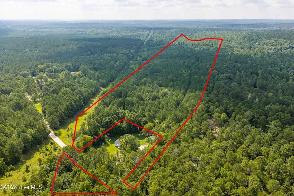 0 Burks Mountain Road Appling, GA 30802