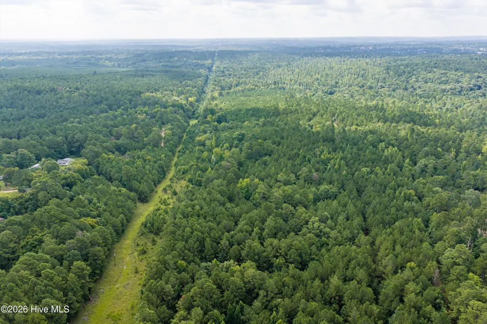0 Burks Mountain Road Appling, GA 30802