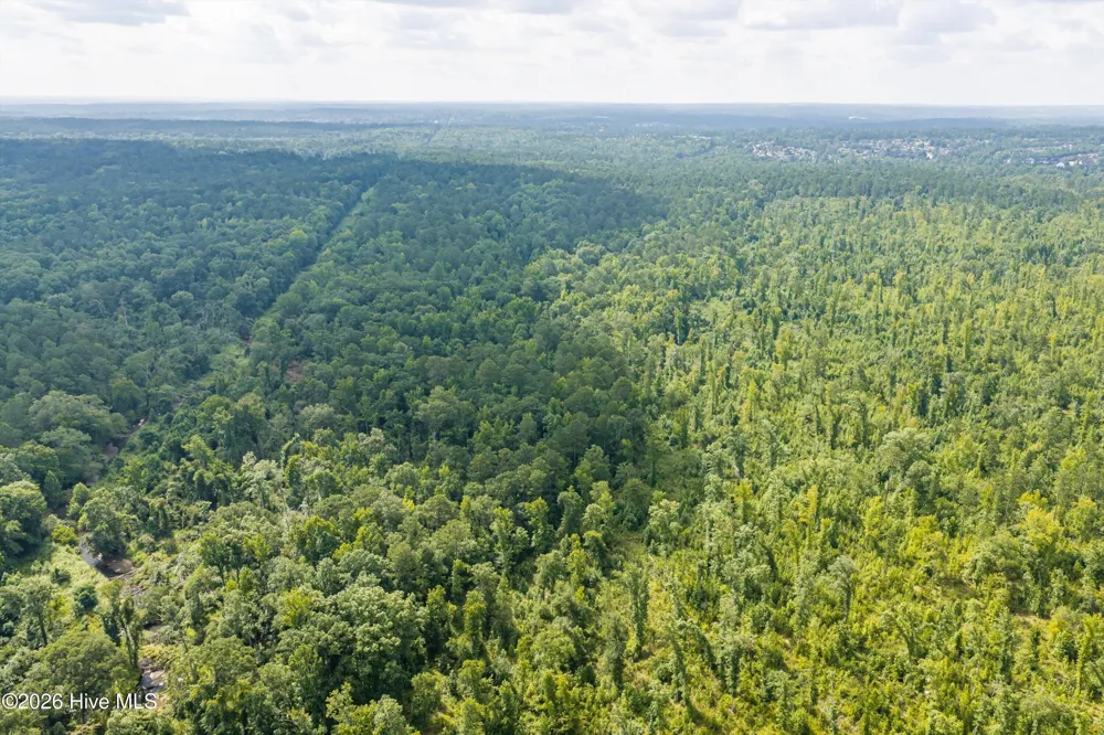 0 Burks Mountain Road Appling, GA 30802