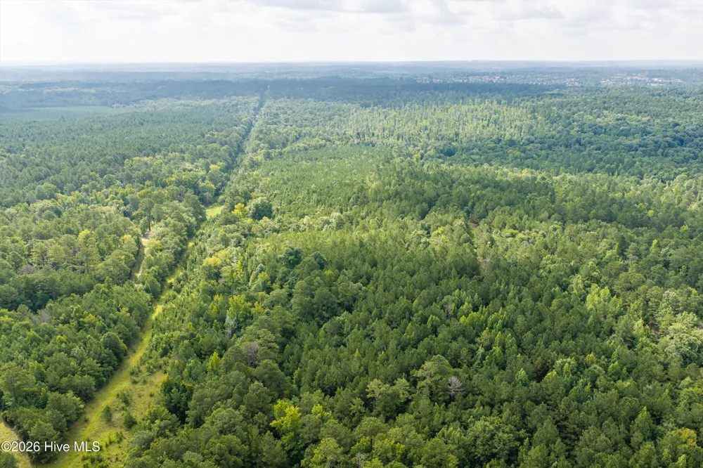 0 Burks Mountain Road Appling, GA 30802