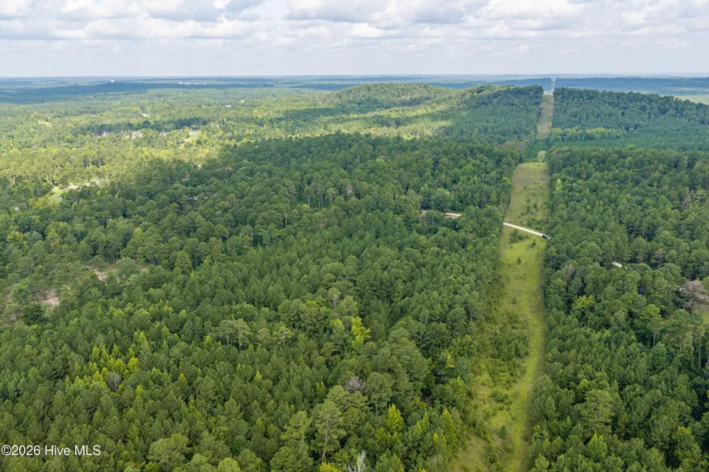 0 Burks Mountain Road Appling, GA 30802