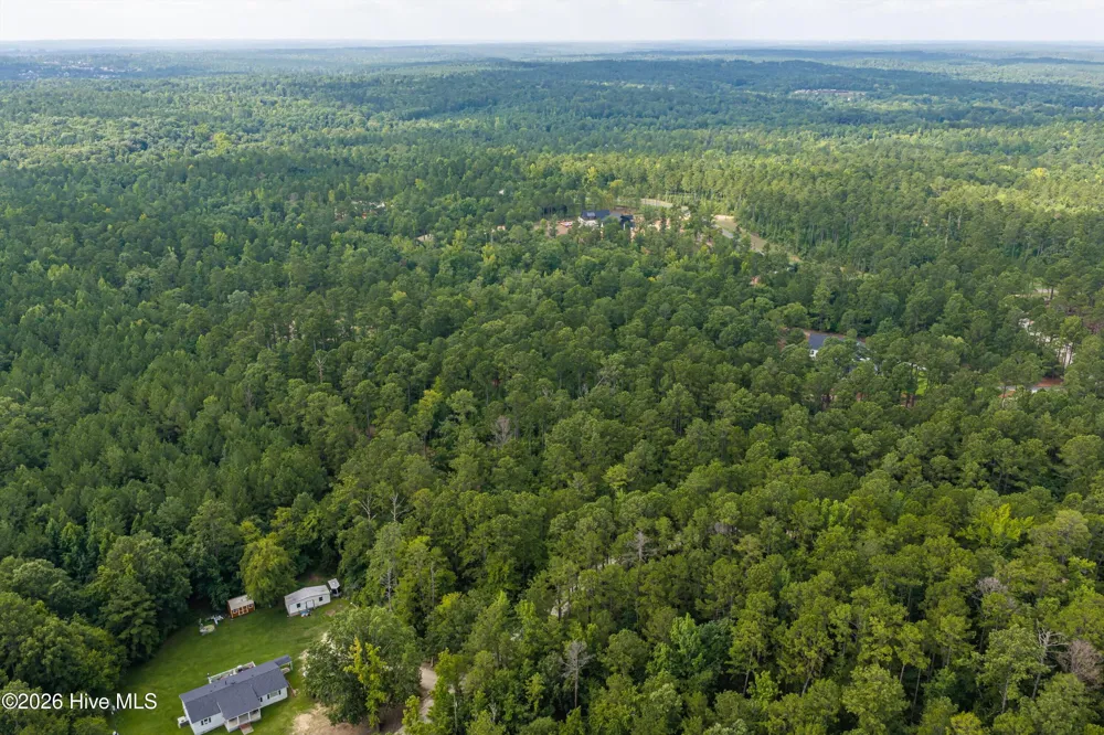0 Burks Mountain Road Appling, GA 30802