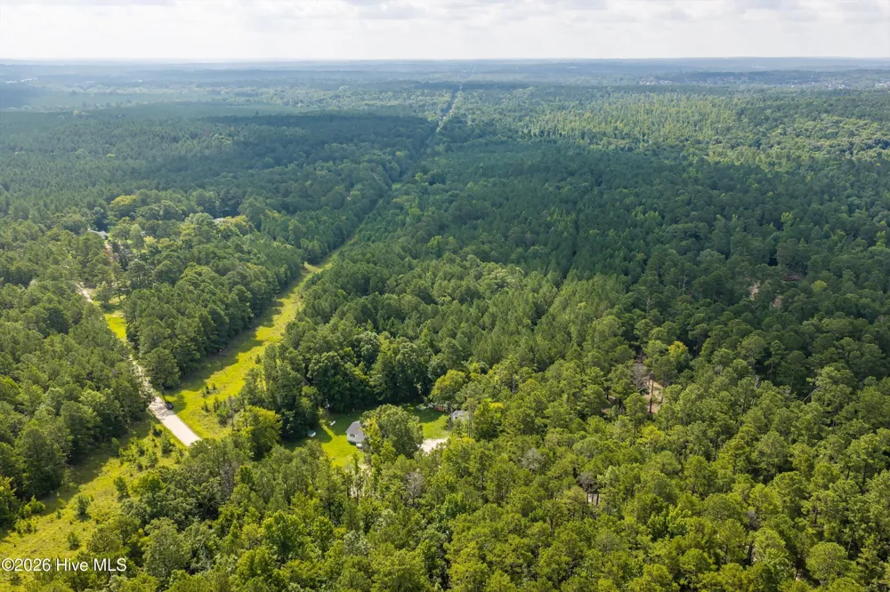 0 Burks Mountain Road Appling, GA 30802
