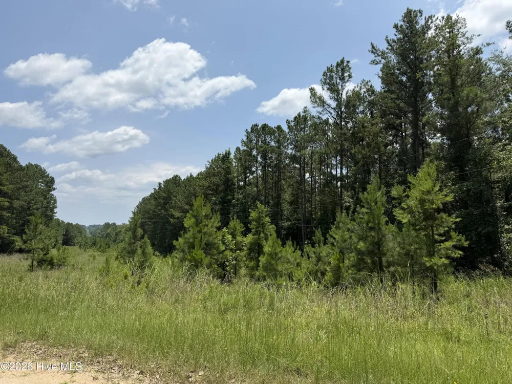 0 Burks Mountain Road Appling, GA 30802