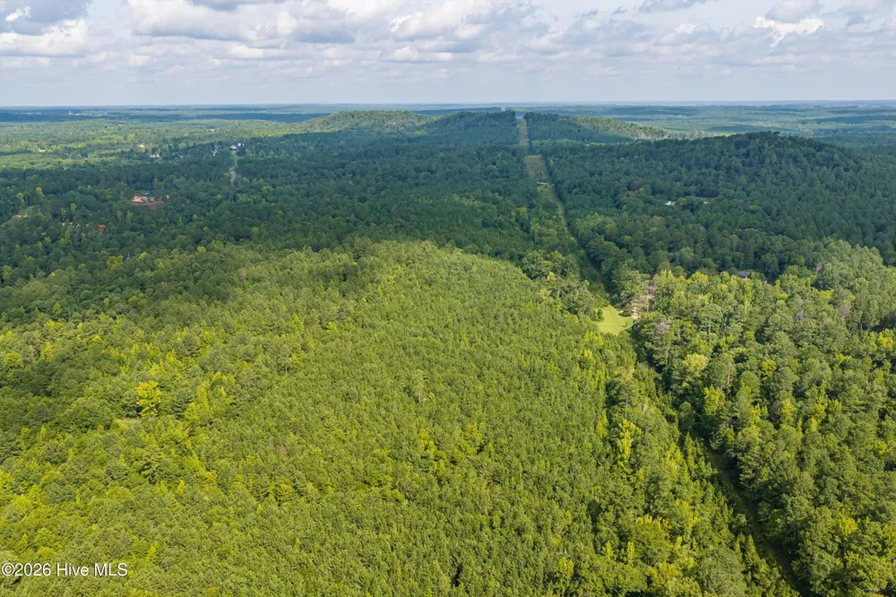 0 Burks Mountain Road Appling, GA 30802