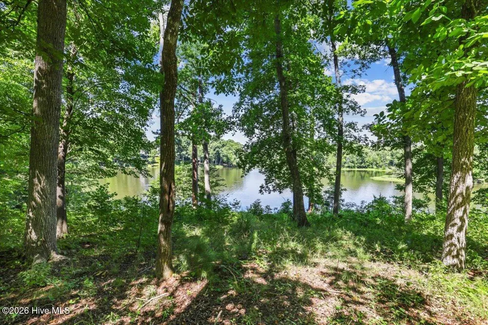 295 Brady Drive Clayton, NC 27520