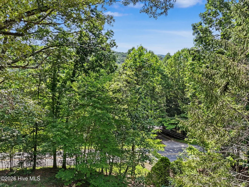3477 Salem Road Mineral Bluff, GA 30559