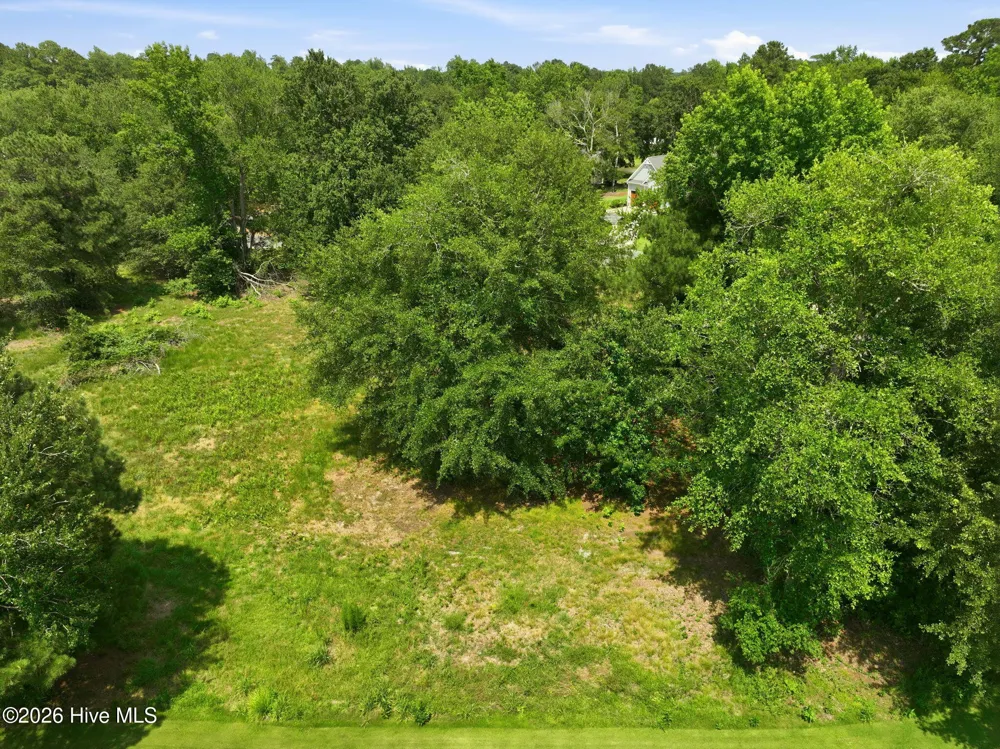 119 Sugar Maple Court Wallace, NC 28466