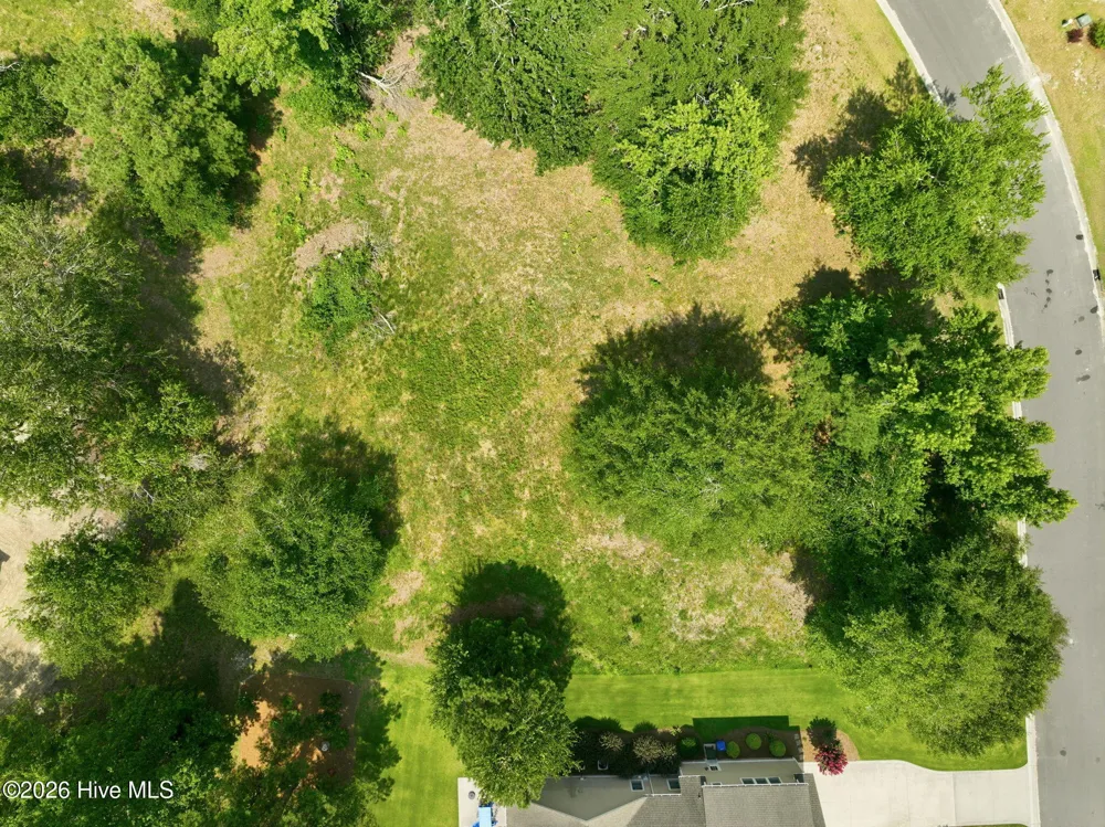 119 Sugar Maple Court Wallace, NC 28466