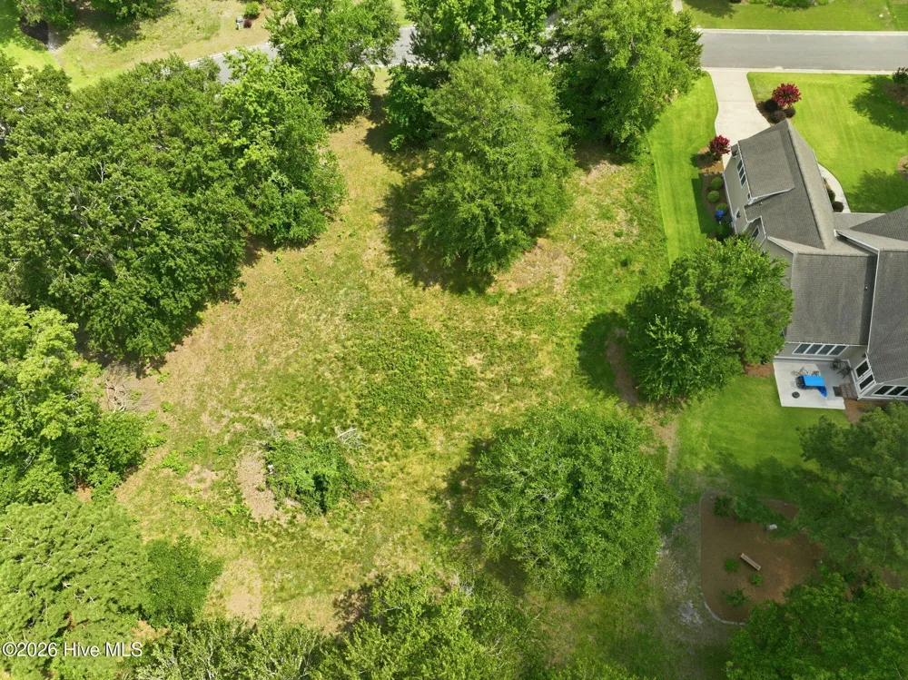 119 Sugar Maple Court Wallace, NC 28466