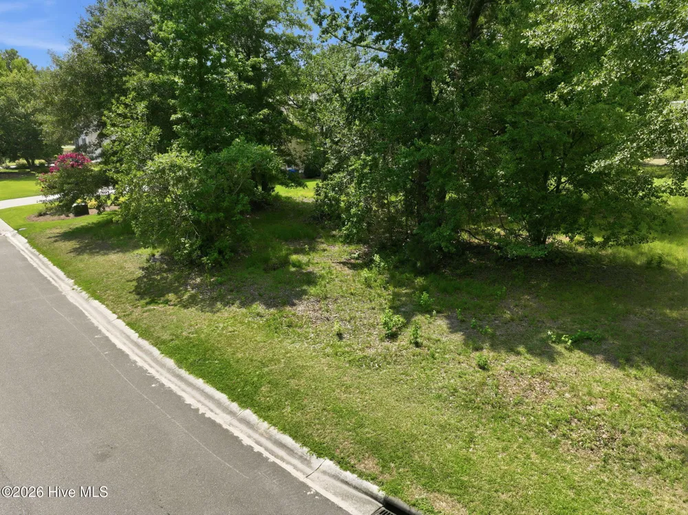 119 Sugar Maple Court Wallace, NC 28466