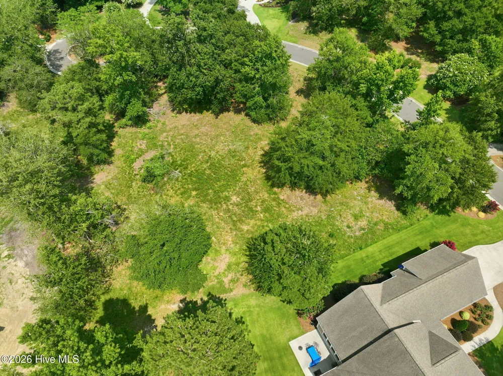 119 Sugar Maple Court Wallace, NC 28466