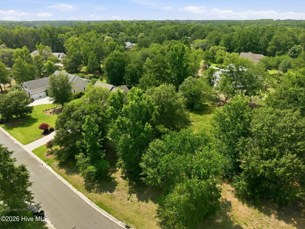 119 Sugar Maple Court Wallace, NC 28466