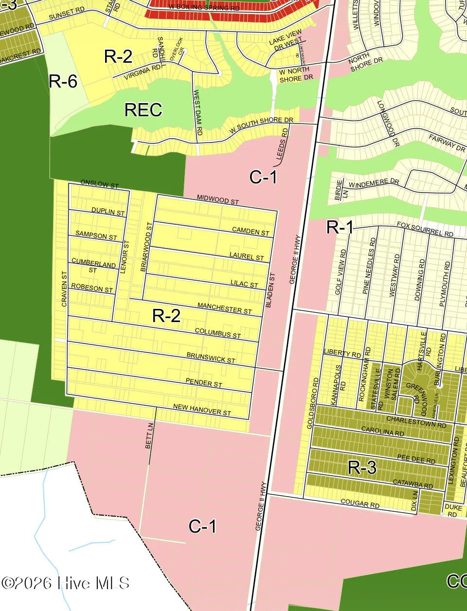 L-724,725 Camden & Bladen Streets Boiling Spring Lakes, NC 28461