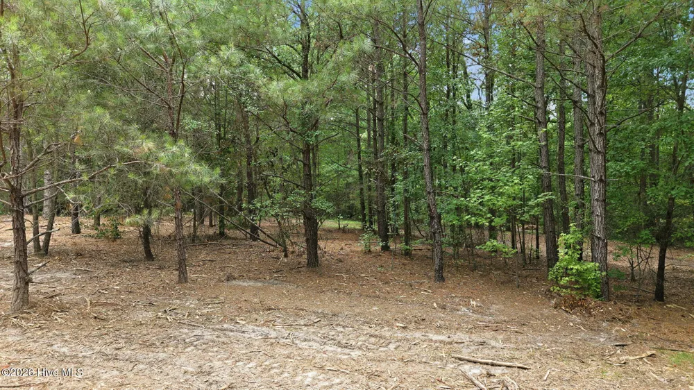 481 Cypress Farm Road Cameron, NC 28326