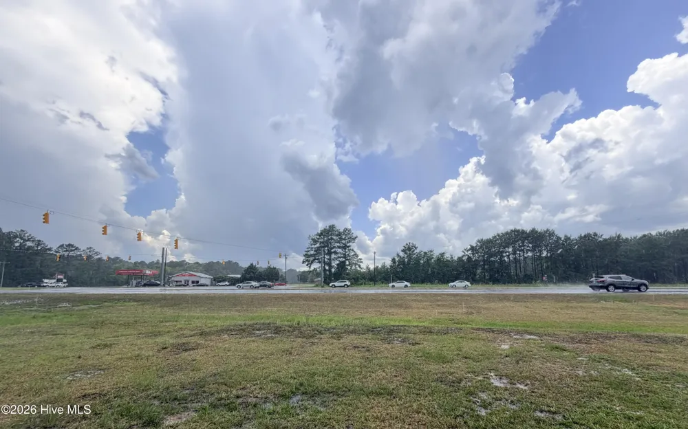Tract F Us 421 Highway Currie, NC 28435