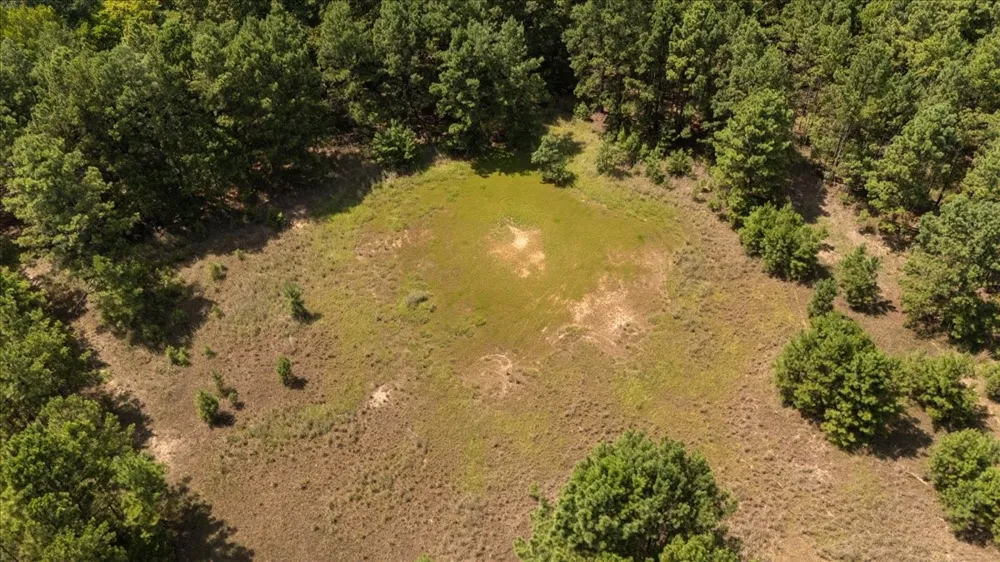 21980 Barron Road Chandler, TX 75758