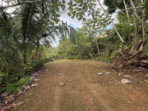 835 KM 5.4 INT,. LOT 8 MAMEY WD #LOT 8