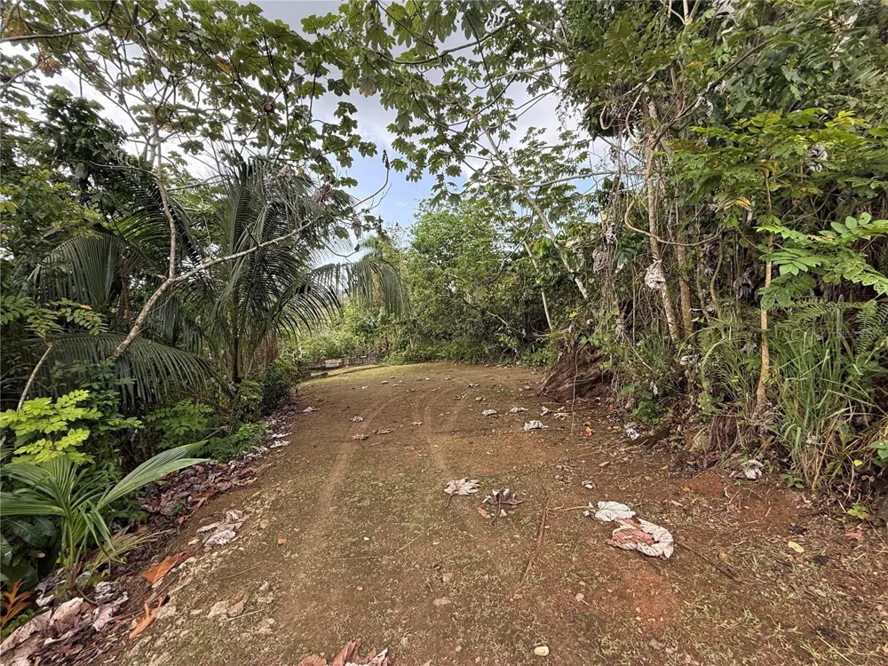 835 KM 5.4 INT,. LOT 8 MAMEY WD #LOT 8 Guaynabo, PR 00969