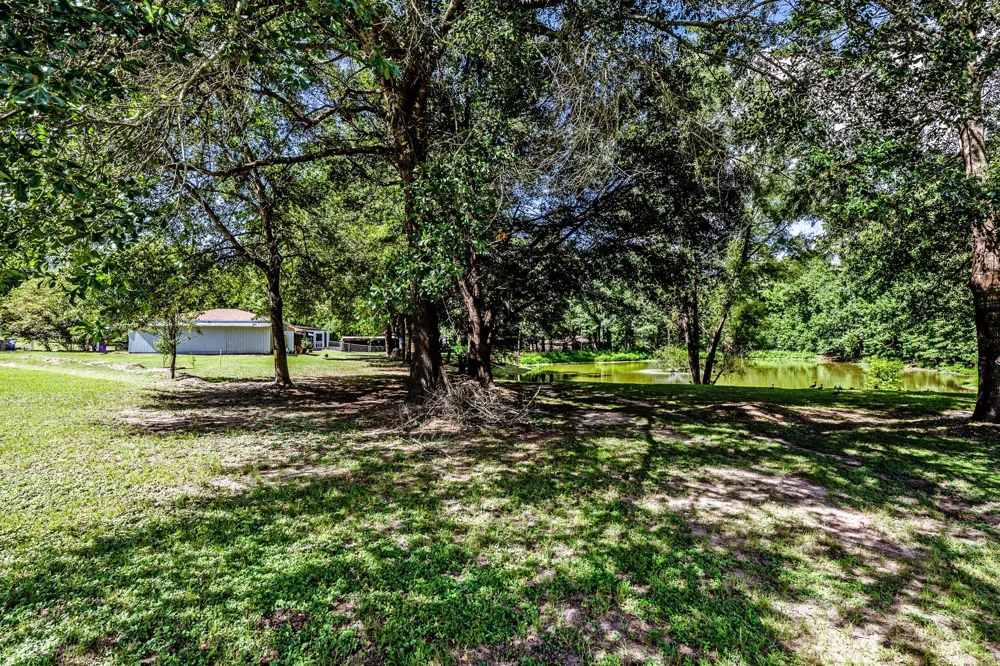 2217 Shannon Drive Huntsville, TX 77320