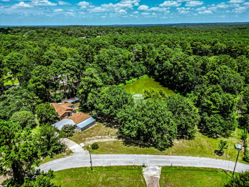 2217 Shannon Drive Huntsville, TX 77320
