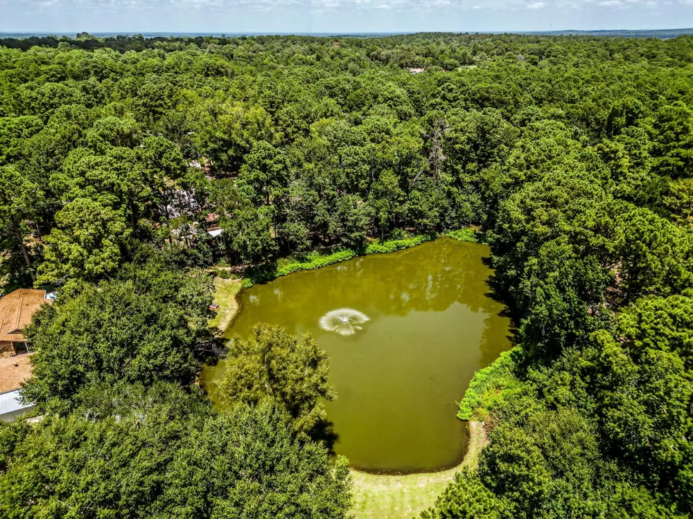 2217 Shannon Drive Huntsville, TX 77320