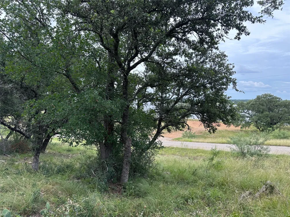 385 N Beacon Lane Brownwood, TX 76801
