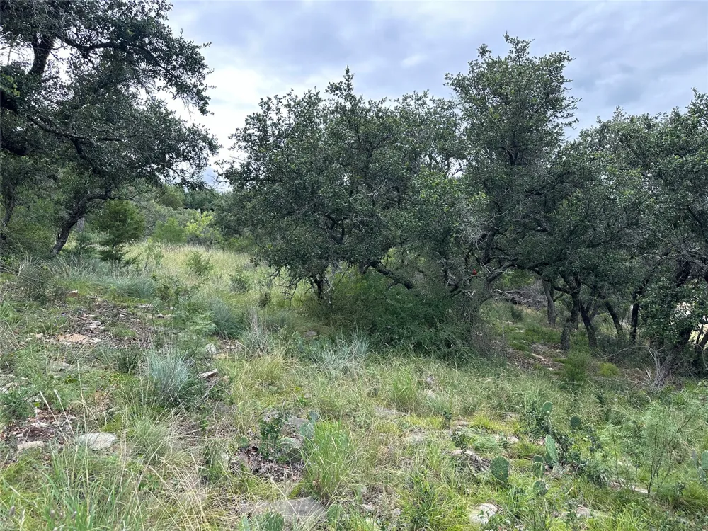 385 N Beacon Lane Brownwood, TX 76801