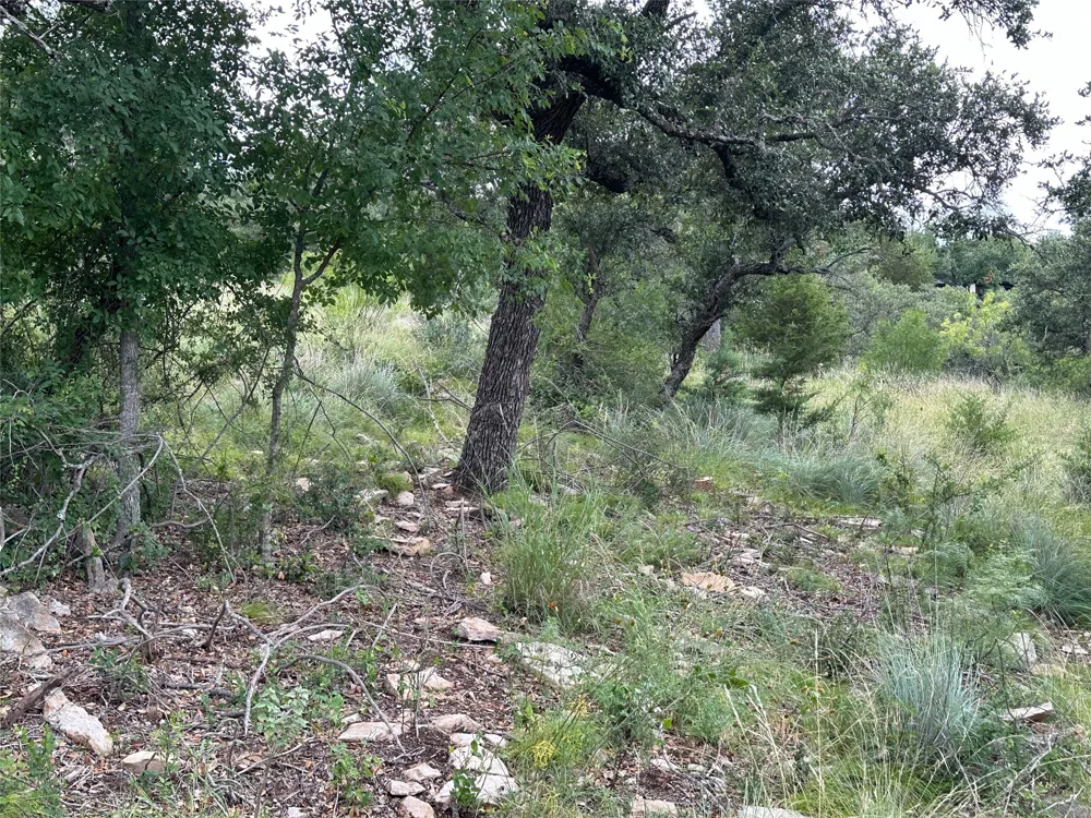 385 N Beacon Lane Brownwood, TX 76801