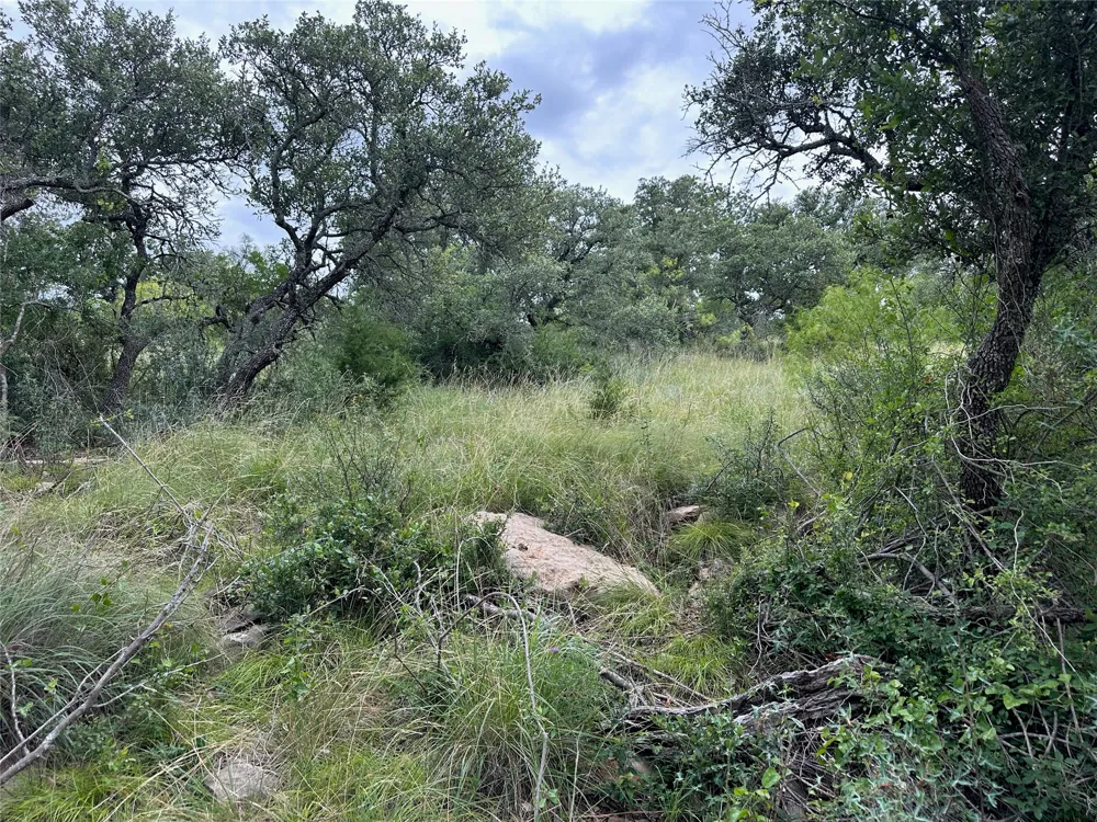 385 N Beacon Lane Brownwood, TX 76801