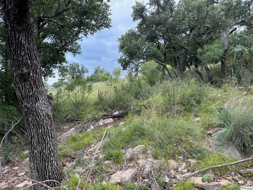 385 N Beacon Lane Brownwood, TX 76801