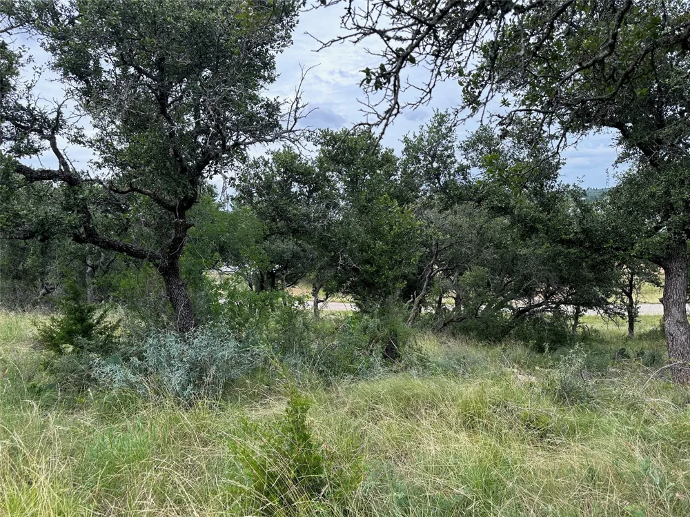 385 N Beacon Lane Brownwood, TX 76801