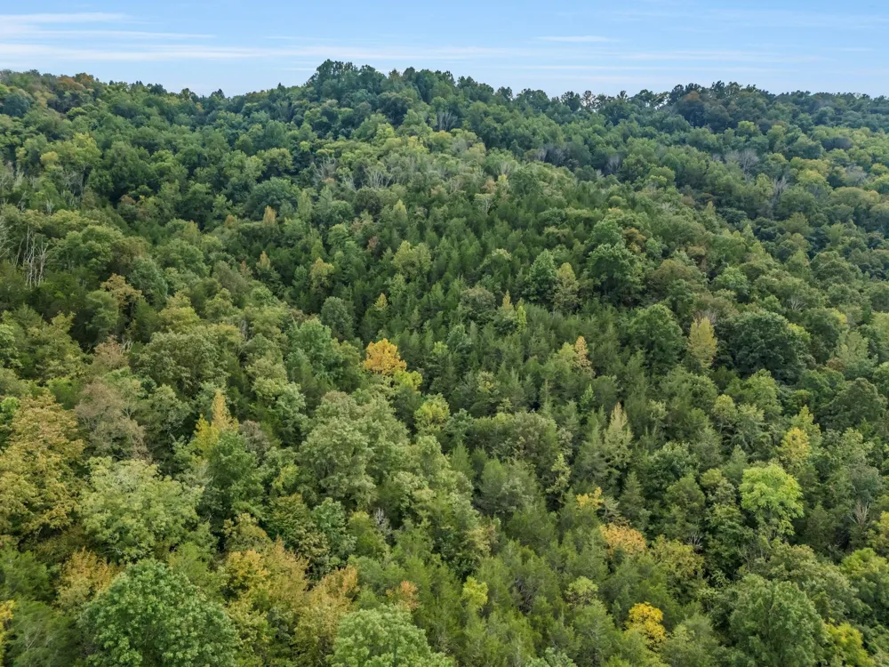 0 Poplar Flatt Rd Silver Point, TN 38582