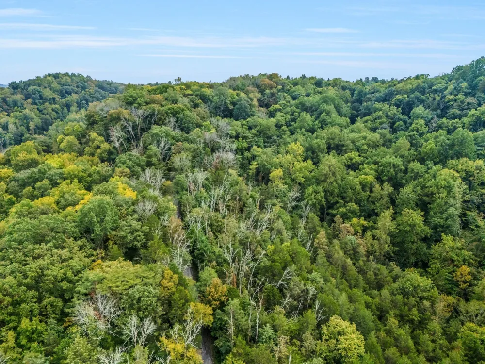 0 Poplar Flatt Rd Silver Point, TN 38582