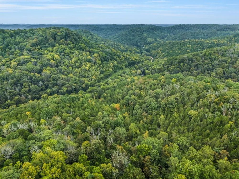 0 Poplar Flatt Rd Silver Point, TN 38582