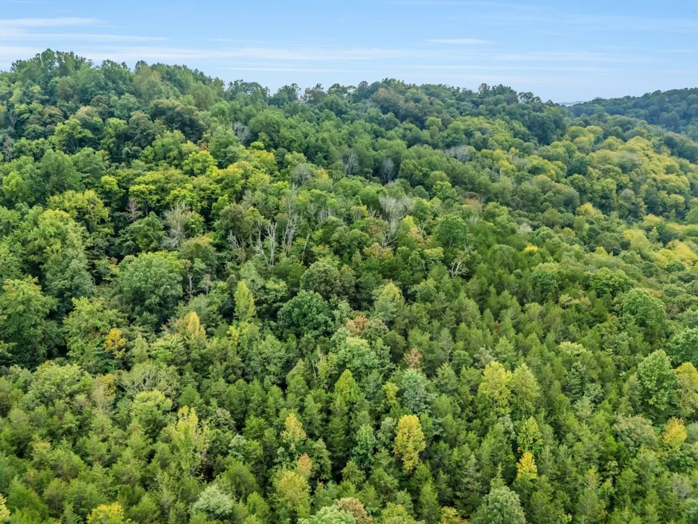 0 Poplar Flatt Rd Silver Point, TN 38582