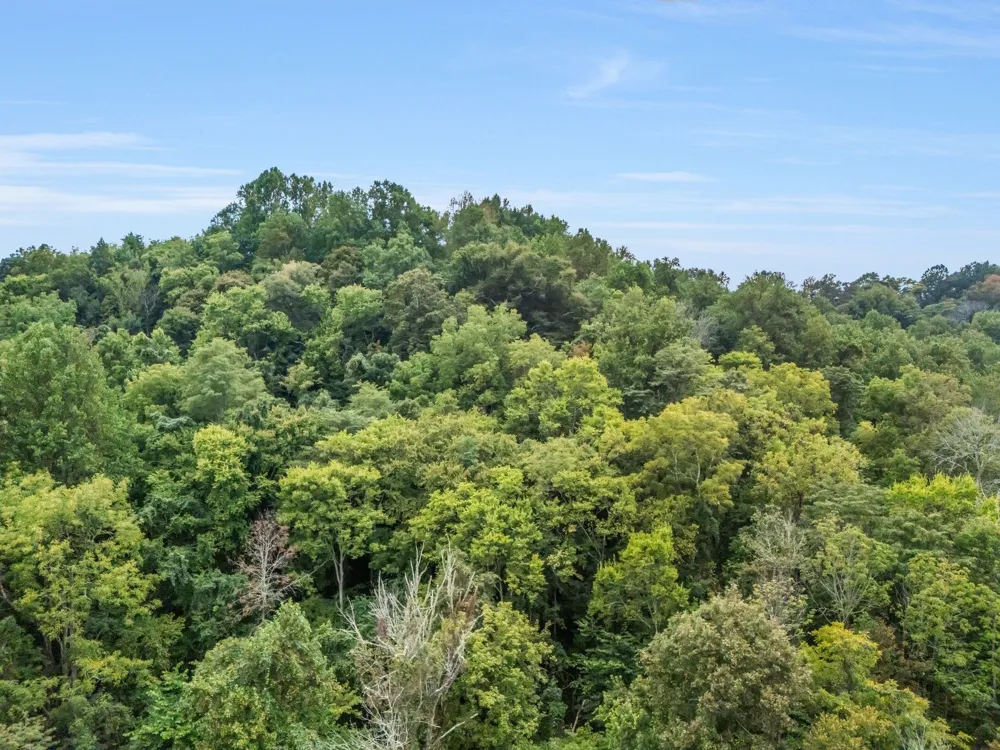 0 Poplar Flatt Rd Silver Point, TN 38582